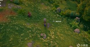 露玛岛鱼饵如何获取
