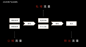 小红书如何涨流量