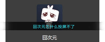 囧次元用不了怎么办