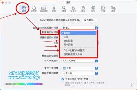 safari起始页变空白如何解决