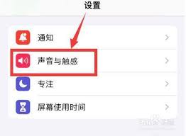 苹果手机关闭来电振动方法