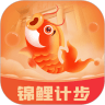 锦鲤计步手机版 1.0.4
