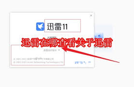 在哪查看关于迅雷