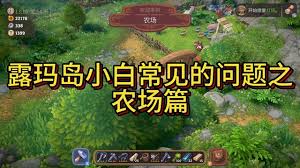 露玛岛如何喂养露玛