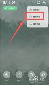潮汐如何删除声音场景？教你轻松管理声音场景