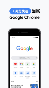 google chrome极速浏览器官方版哪里找