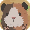 天竺鼠农场 1.0.1