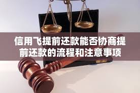 信用飞如何提前进行还款