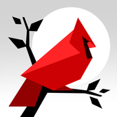 Cardinal Landv2.0 1.4
