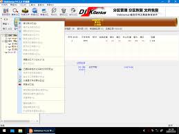 diskgenius如何建立新的ESPMSR分区