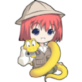 bacchikoiscEX篮球版 2