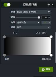 Camtasia2024滤镜如何使用