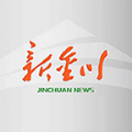 新金川v3.0.6安卓版 3.0.8