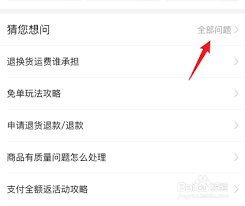 拼多多代付退款去向