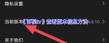 百视tv版本号在哪看