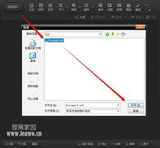 nef是什么格式