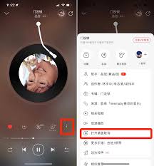 网易云音乐为何没有歌词显示
