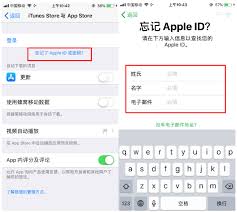 Apple ID密码正确却无法登录的原因