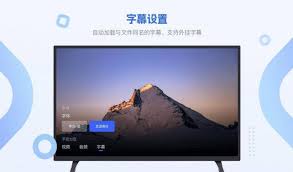 恒星播放器能否添加外挂字幕