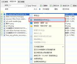 diskgenius如何恢复特定类型文件