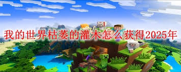 我的世界2025年如何获得枯萎的灌木