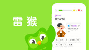 怎样用多邻国高效学习一门新语言