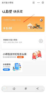支付宝小荷包每月支出限额怎么调