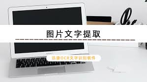 电脑文字提取技巧有哪些
