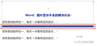 word中图片显示不全如何处理