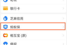支付宝万能保险怎么退保