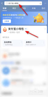 支付宝小荷包怎么修改使用金额