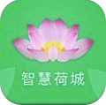 智慧荷城手机版v1.1.5 1.1.6