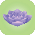 Viridi v1.5.4