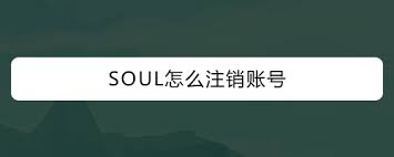 Soul账号怎么注销