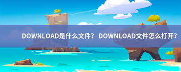 downloading什么格式