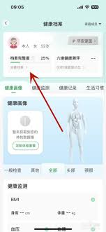 平安健康如何查看健康档案
