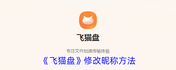 飞猫盘如何进行改名