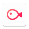 VLLO 5.2.6
