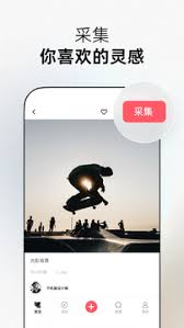 花瓣app如何取消关注