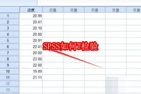 SPSS怎样进行T检验