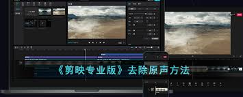 剪映怎样消除原音