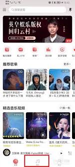 网易云音乐如何听别人唱歌