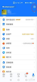 支付宝冻结资金如何解冻