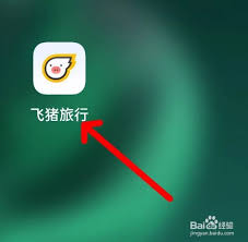 飞猪里程在哪查看