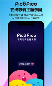 picopico如何查找记录