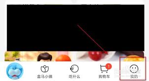 如何通过盒马 APP 进入盒马小镇