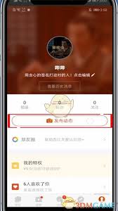 探探如何查看动态