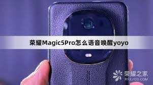 如何唤醒yoyo