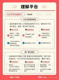 如何查看小红书2025年度报告