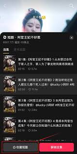 如何将抖音短剧下载到手机上观看